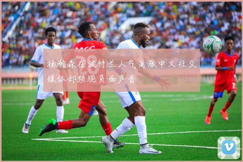 杨瀚森在波特兰人气高涨中文社交媒体却频现负面声音